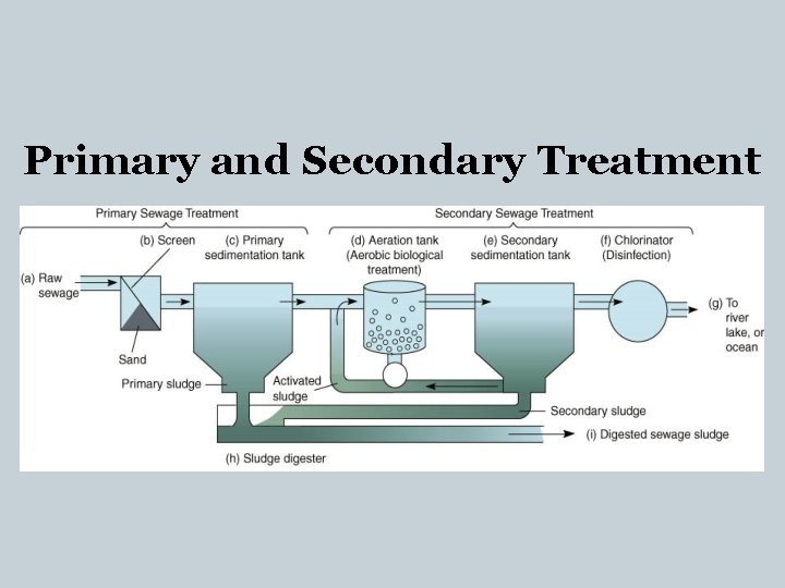 Primary and Secondary Treatment 