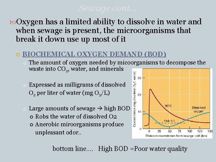 Sewage cont… Oxygen has a limited ability to dissolve in water and when sewage