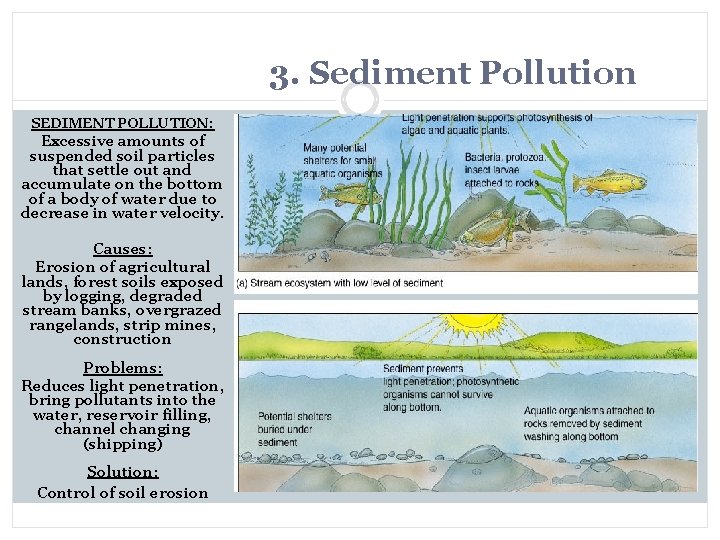 3. Sediment Pollution SEDIMENT POLLUTION: Excessive amounts of suspended soil particles that settle out