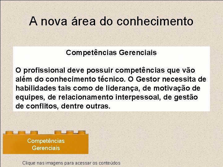 A nova área do conhecimento Competências Gerenciais O profissional deve possuir competências que vão