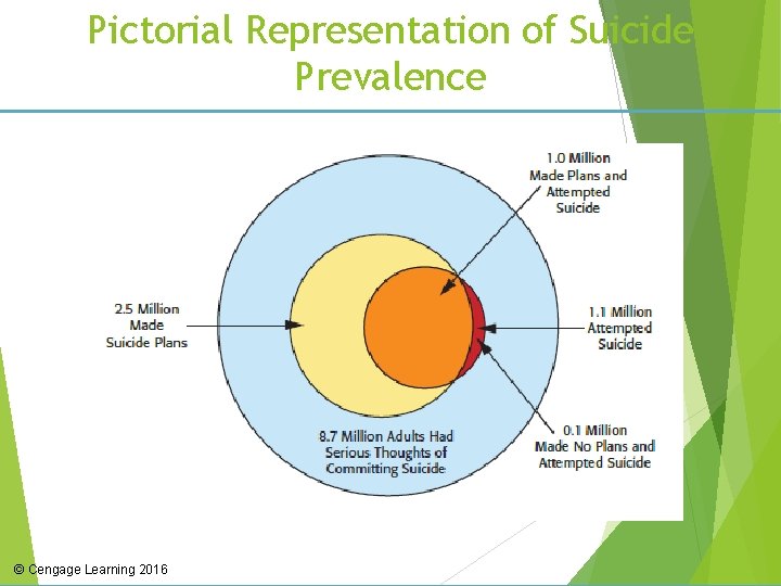 Pictorial Representation of Suicide Prevalence © Cengage Learning 2016 
