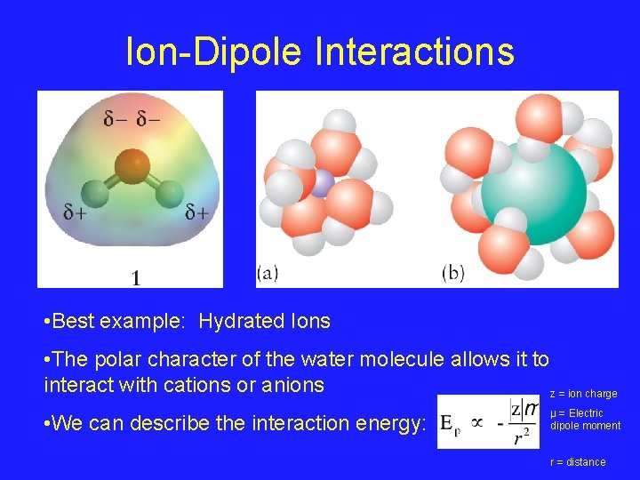 Ion-Dipole Interactions • Best example: Hydrated Ions • The polar character of the water
