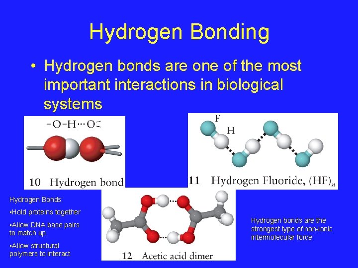 Hydrogen Bonding • Hydrogen bonds are one of the most important interactions in biological