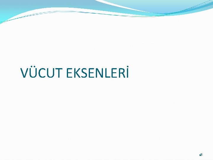 VÜCUT EKSENLERİ 18 