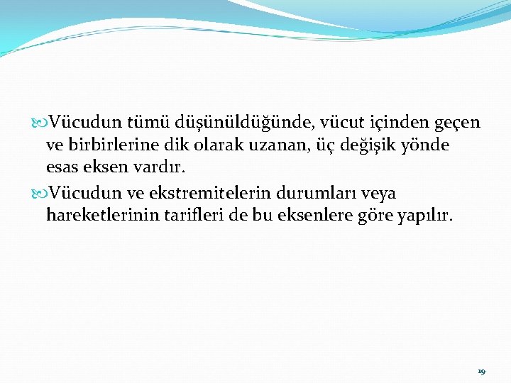  Vücudun tümü düşünüldüğünde, vücut içinden geçen ve birbirlerine dik olarak uzanan, üç değişik