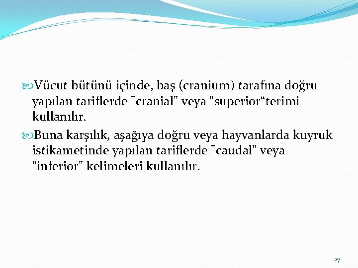  Vücut bütünü içinde, baş (cranium) tarafına doğru yapılan tariflerde "cranial" veya "superior“terimi kullanılır.