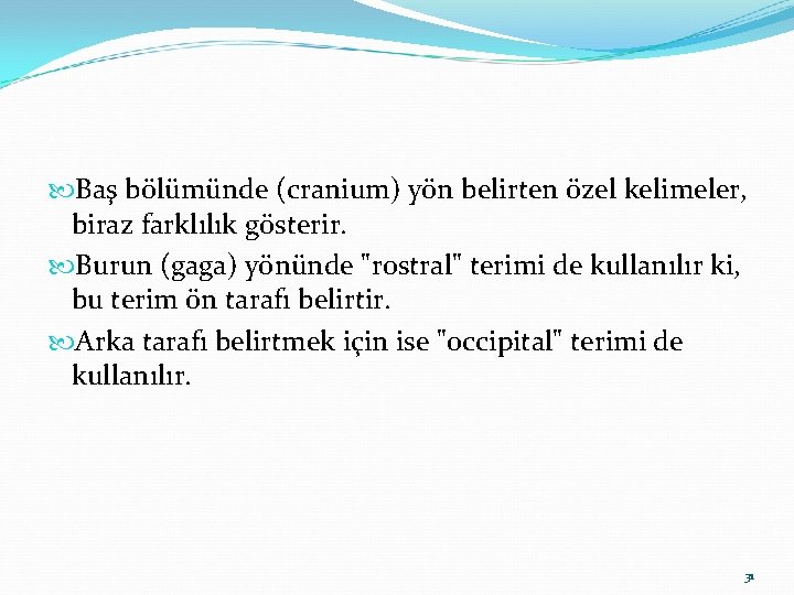  Baş bölümünde (cranium) yön belirten özel kelimeler, biraz farklılık gösterir. Burun (gaga) yönünde