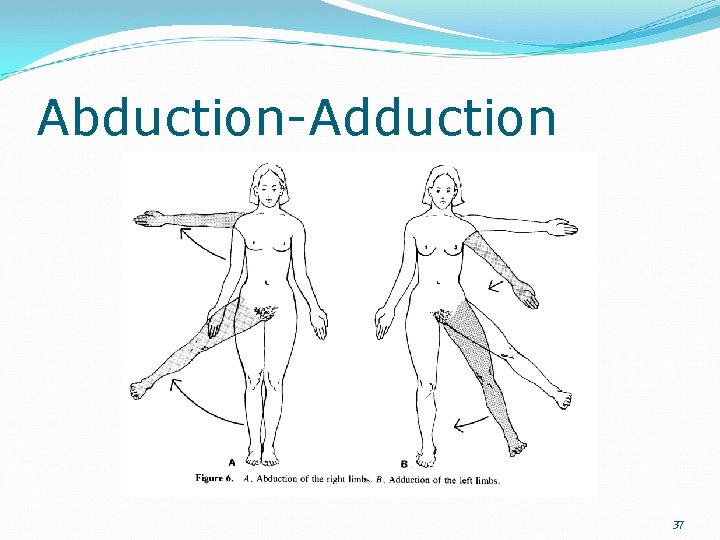 Abduction-Adduction 37 