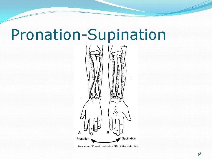 Pronation-Supination 38 