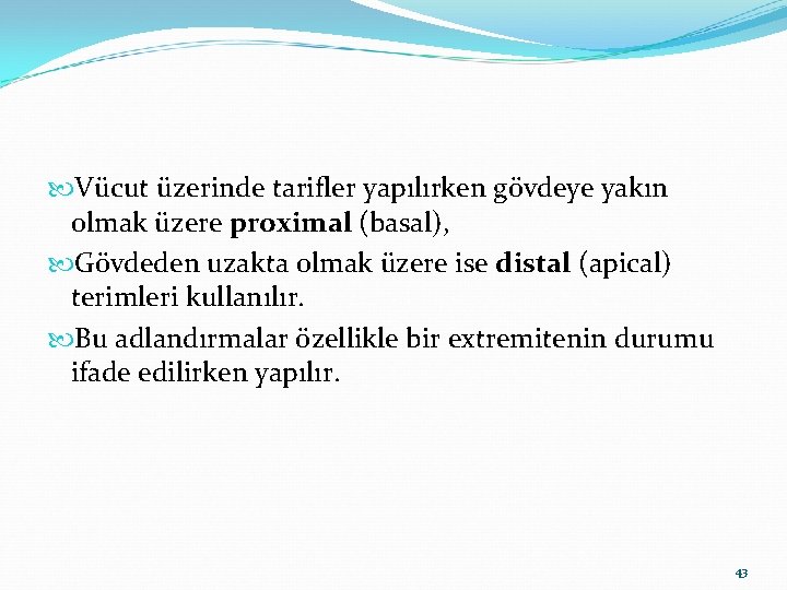  Vücut üzerinde tarifler yapılırken gövdeye yakın olmak üzere proximal (basal), Gövdeden uzakta olmak