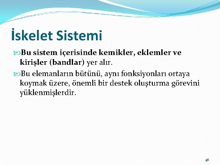 İskelet Sistemi Bu sistem içerisinde kemikler, eklemler ve kirişler (bandlar) yer alır. Bu elemanların