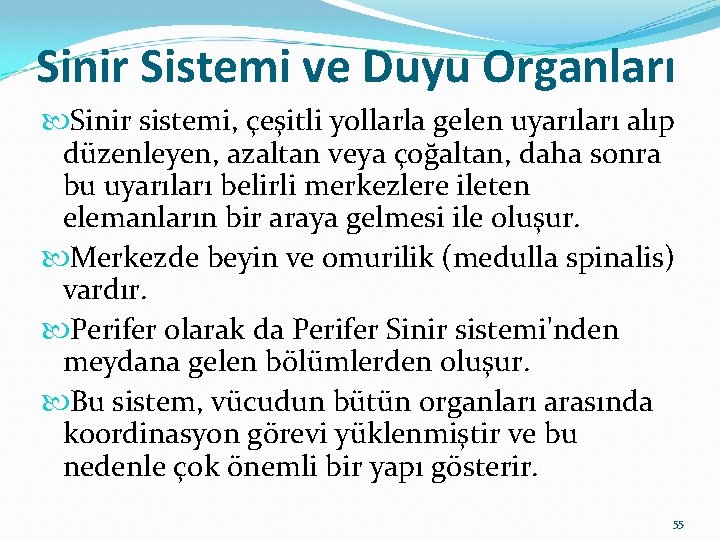 Sinir Sistemi ve Duyu Organları Sinir sistemi, çeşitli yollarla gelen uyarıları alıp düzenleyen, azaltan