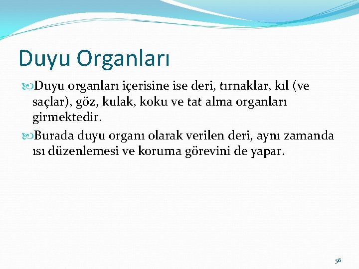 Duyu Organları Duyu organları içerisine ise deri, tırnaklar, kıl (ve saçlar), göz, kulak, koku