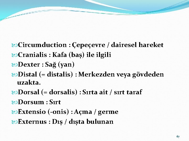  Circumduction : Çepeçevre / dairesel hareket Cranialis : Kafa (baş) ile ilgili Dexter
