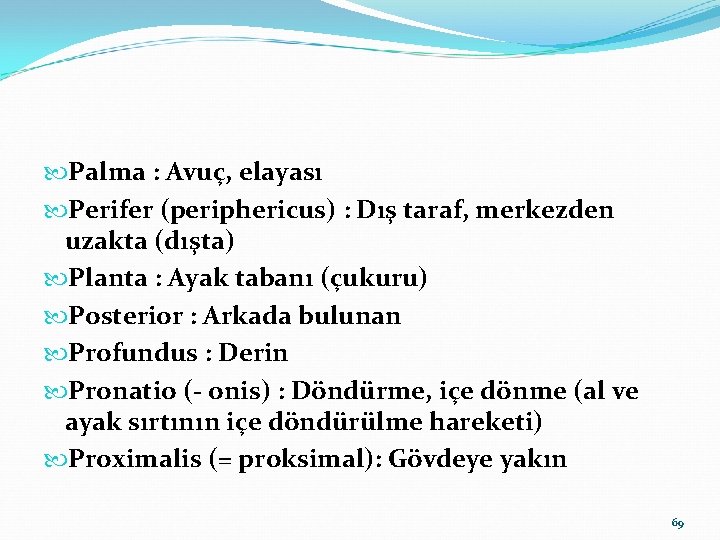  Palma : Avuç, elayası Perifer (periphericus) : Dış taraf, merkezden uzakta (dışta) Planta