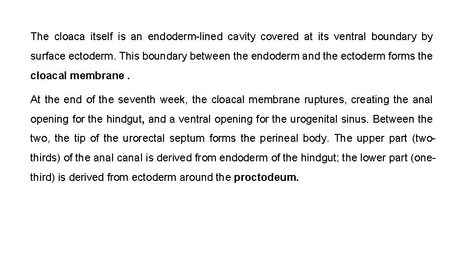 The cloaca itself is an endoderm-lined cavity covered at its ventral boundary by surface