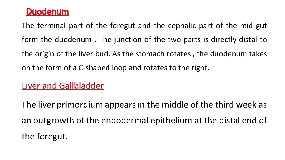 Duodenum The terminal part of the foregut and the cephalic part of the mid