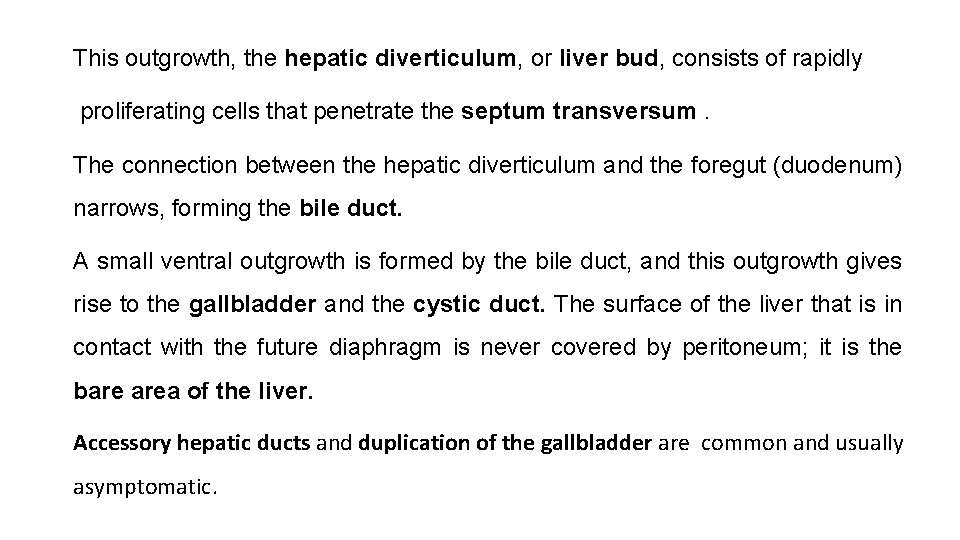 This outgrowth, the hepatic diverticulum, or liver bud, consists of rapidly proliferating cells that
