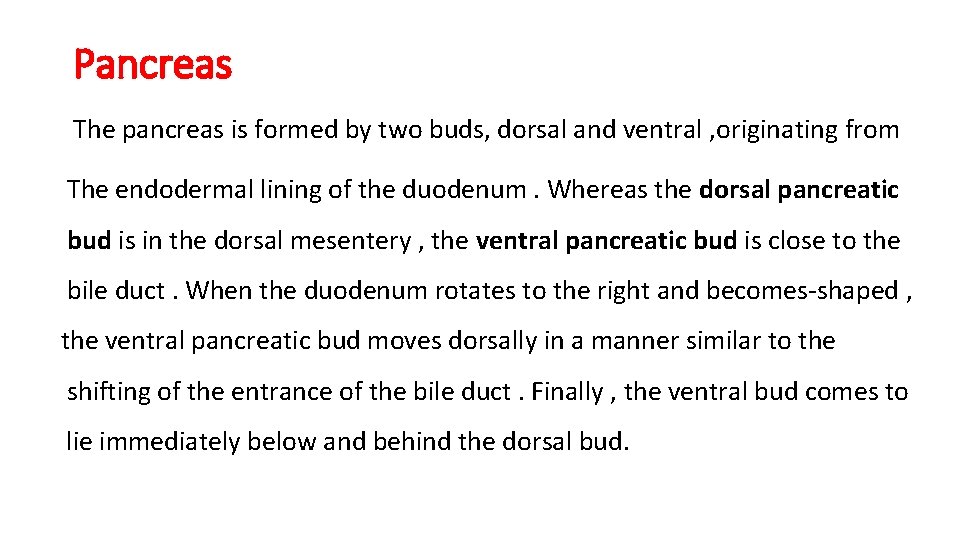 Pancreas The pancreas is formed by two buds, dorsal and ventral , originating from
