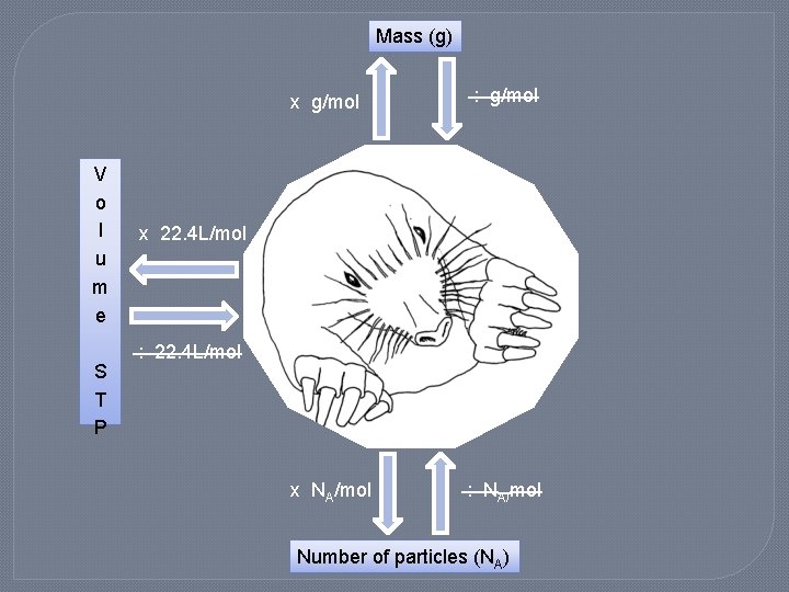 Mass (g) x g/mol V o l u m e S T P :