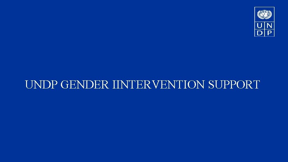 UNDP GENDER IINTERVENTION SUPPORT 