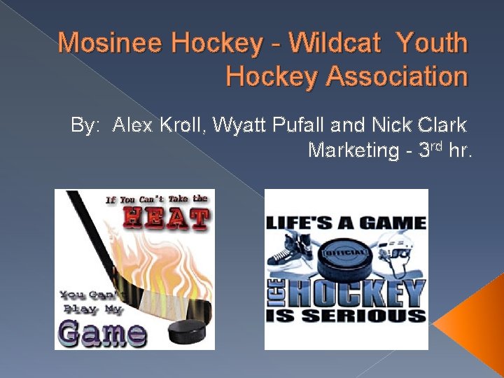 Mosinee Hockey - Wildcat Youth Hockey Association By: Alex Kroll, Wyatt Pufall and Nick