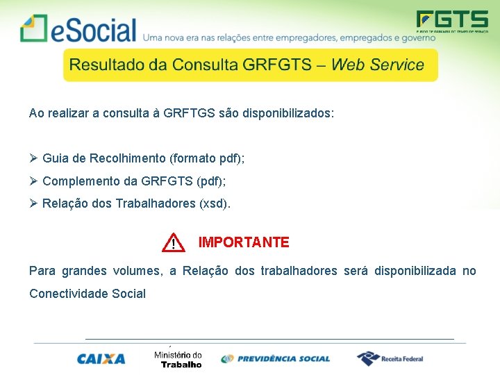 Ao realizar a consulta à GRFTGS são disponibilizados: Ø Guia de Recolhimento (formato pdf);