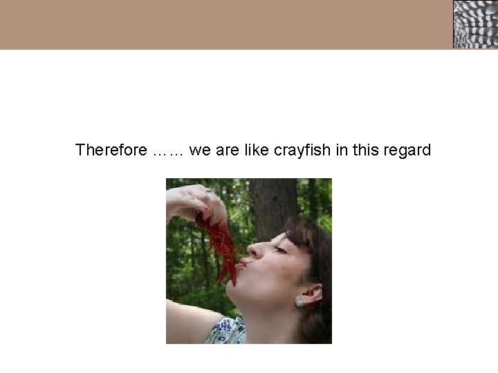 Therefore …… we are like crayfish in this regard 