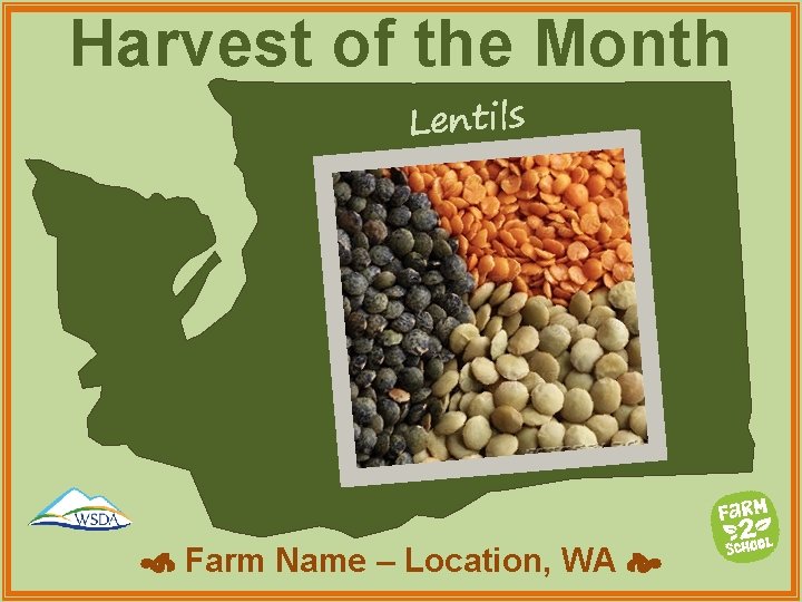 Harvest of the Month Lentils Farm Name – Location, WA 