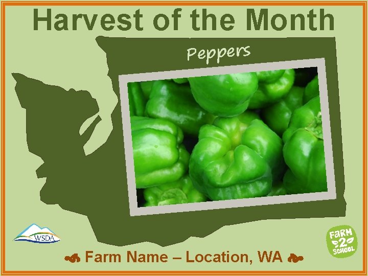 Harvest of the Month Peppers Farm Name – Location, WA 