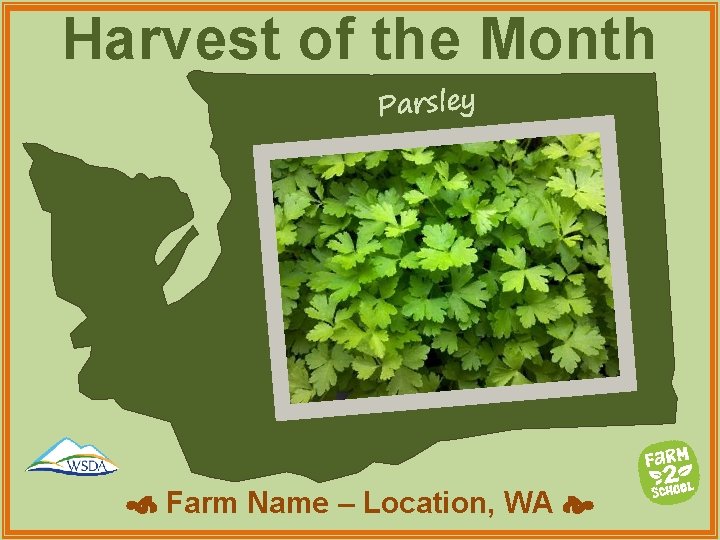 Harvest of the Month Parsley Farm Name – Location, WA 