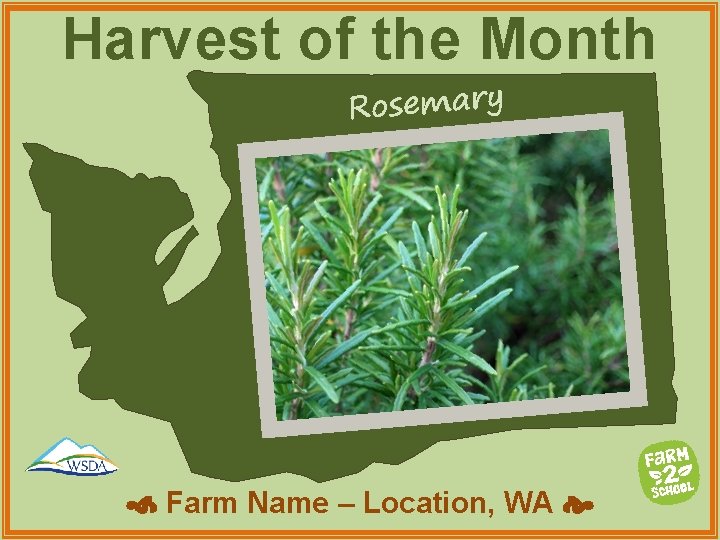 Harvest of the Month Rosemary Farm Name – Location, WA 