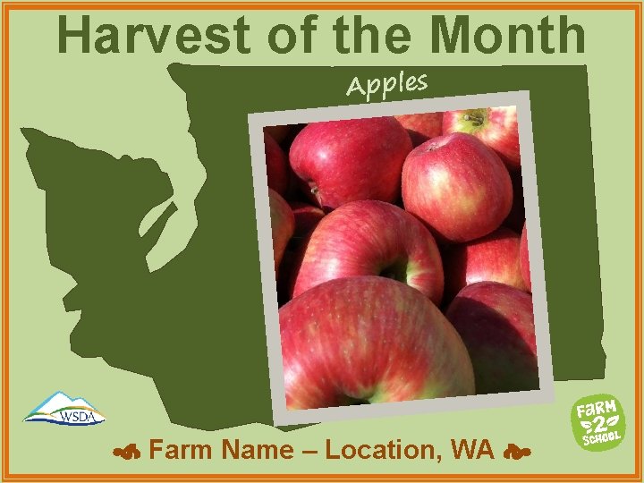 Harvest of the Month Apples Farm Name – Location, WA 