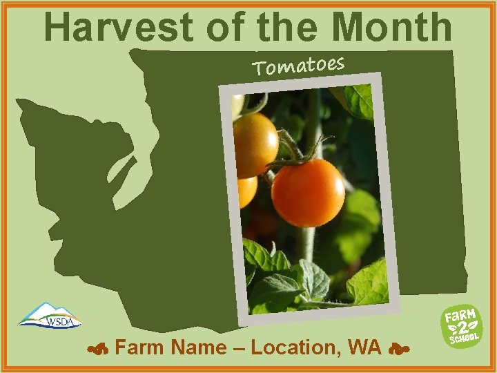 Harvest of the Month Tomatoes Farm Name – Location, WA 