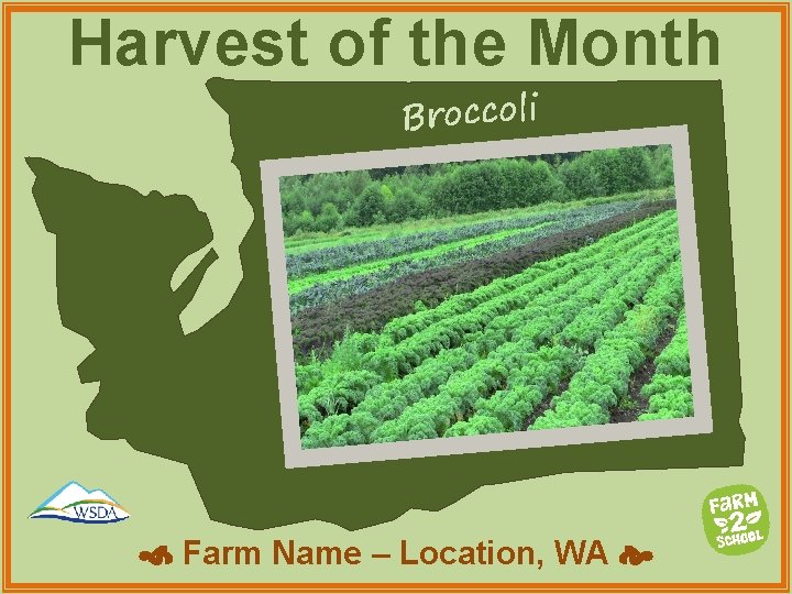 Harvest of the Month Broccoli Farm Name – Location, WA 