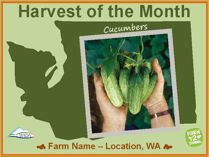 Harvest of the Month Cucumbers Farm Name – Location, WA 