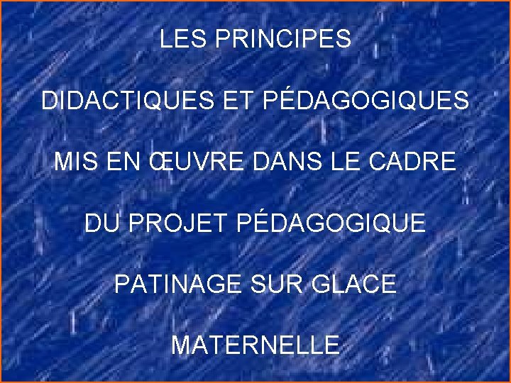 LES PRINCIPES DIDACTIQUES ET PÉDAGOGIQUES MIS EN ŒUVRE DANS LE CADRE DU PROJET PÉDAGOGIQUE