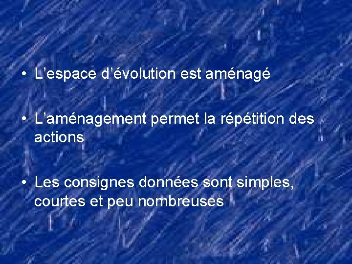  • L’espace d’évolution est aménagé • L’aménagement permet la répétition des actions •