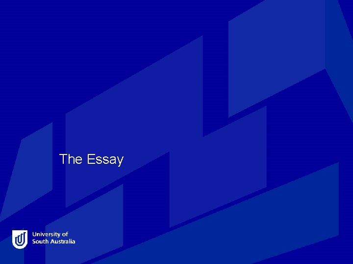 The Essay 