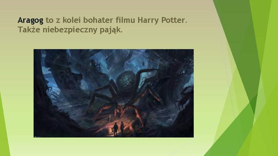 Aragog to z kolei bohater filmu Harry Potter. Także niebezpieczny pająk. 
