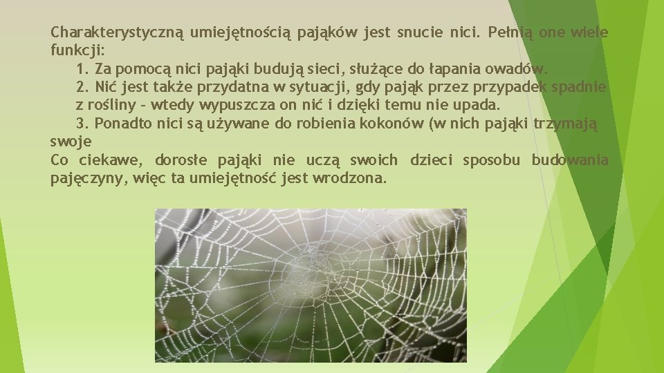 Charakterystyczną umiejętnością pająków jest snucie nici. Pełnią one wiele funkcji: 1. Za pomocą nici