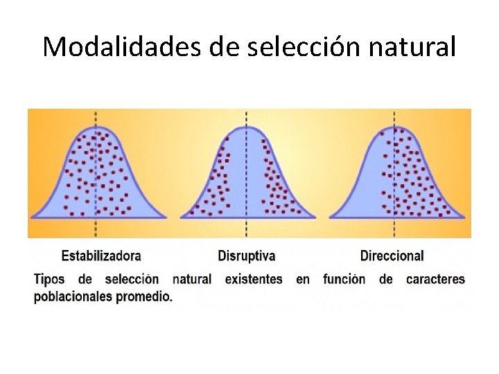 Modalidades de selección natural 