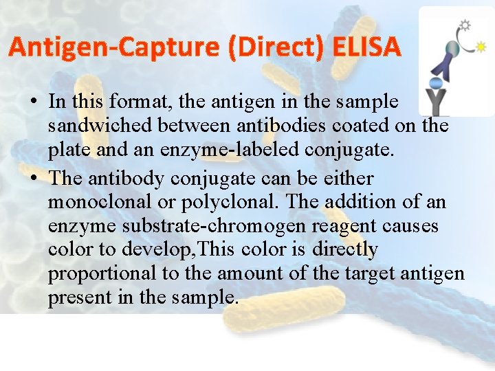Antigen-Capture (Direct) ELISA • In this format, the antigen in the sample is sandwiched