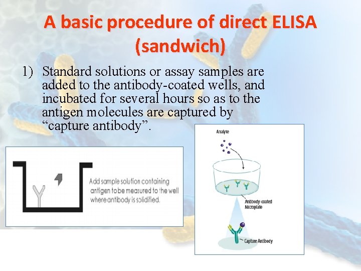 A basic procedure of direct ELISA (sandwich) 1) Standard solutions or assay samples are