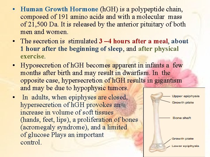  • Human Growth Hormone (h. GH) is a polypeptide chain, composed of 191