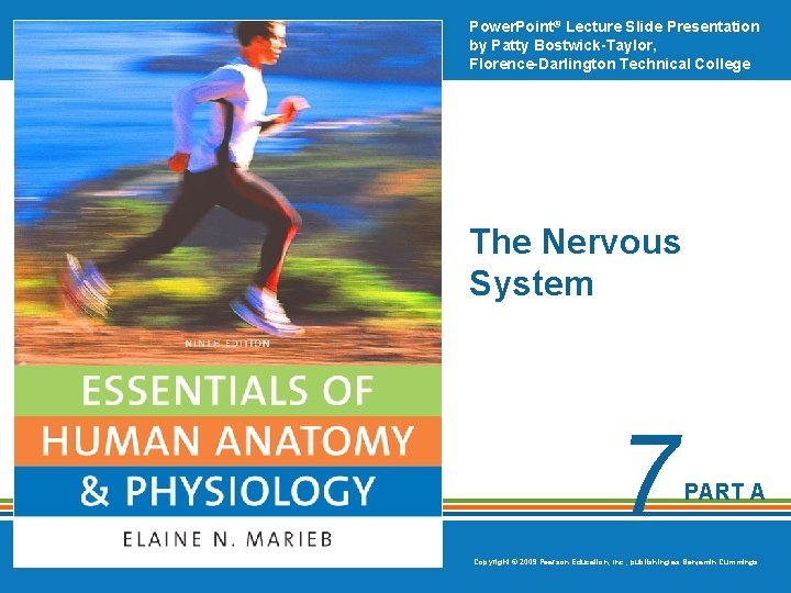 Power. Point® Lecture Slide Presentation by Patty Bostwick-Taylor, Florence-Darlington Technical College The Nervous System