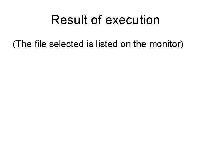 Result of execution (The file selected is listed on the monitor) 