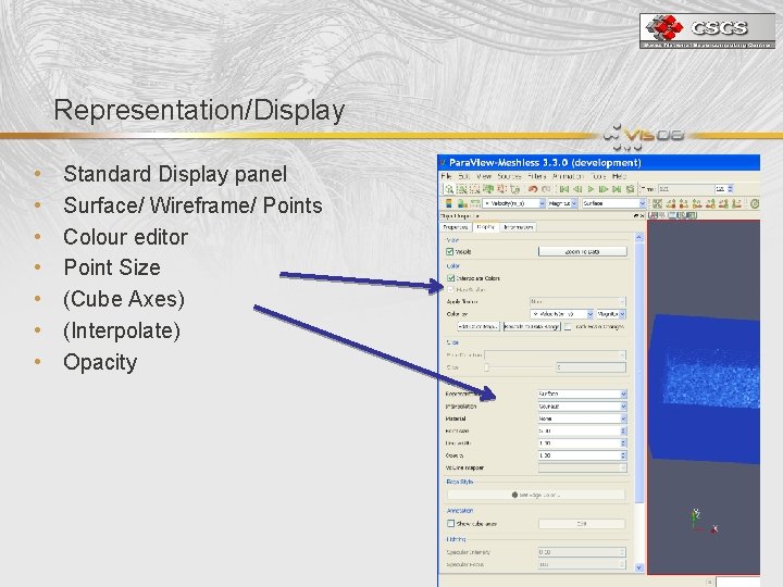 Representation/Display • • Standard Display panel Surface/ Wireframe/ Points Colour editor Point Size (Cube