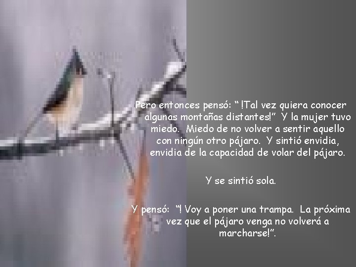 Pero entonces pensó: “ !Tal vez quiera conocer algunas montañas distantes!” Y la mujer