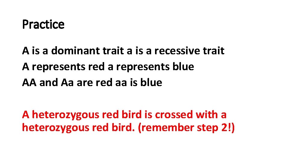 Practice A is a dominant trait a is a recessive trait A represents red